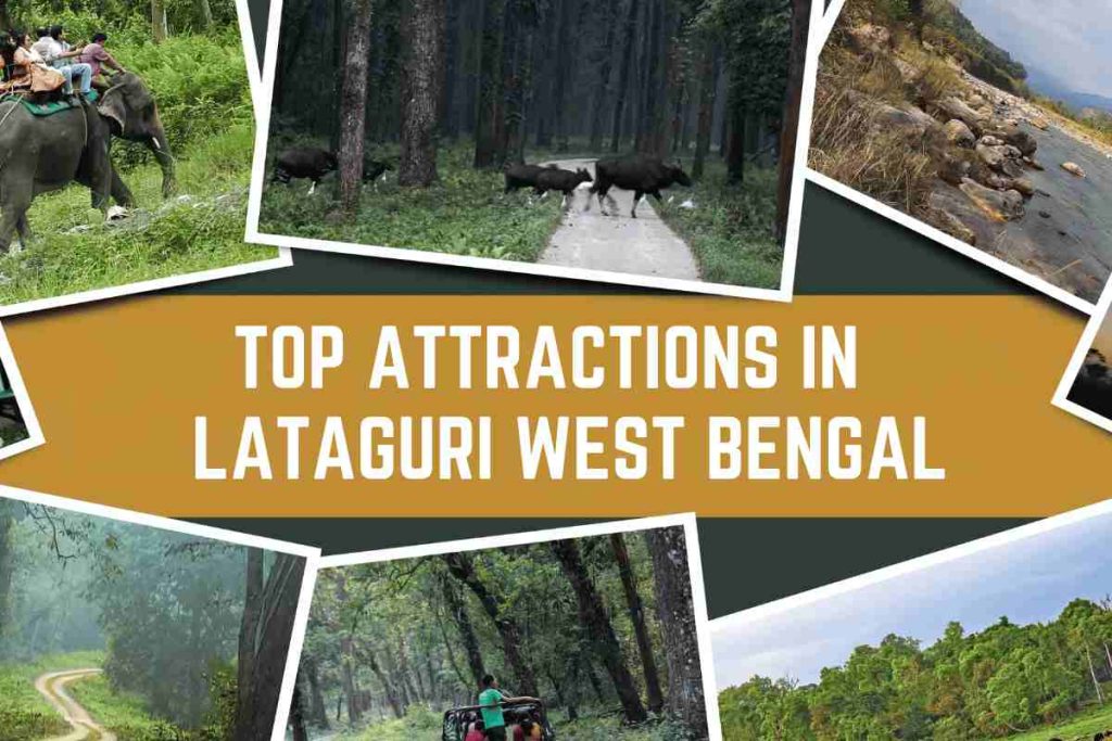 Top Attractions in Lataguri West Bengal